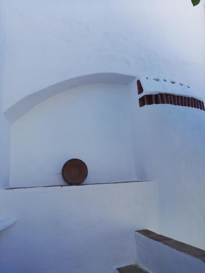 Casa Do Patio- Bed & Breakfast- City Center Portalegre Exteriör bild