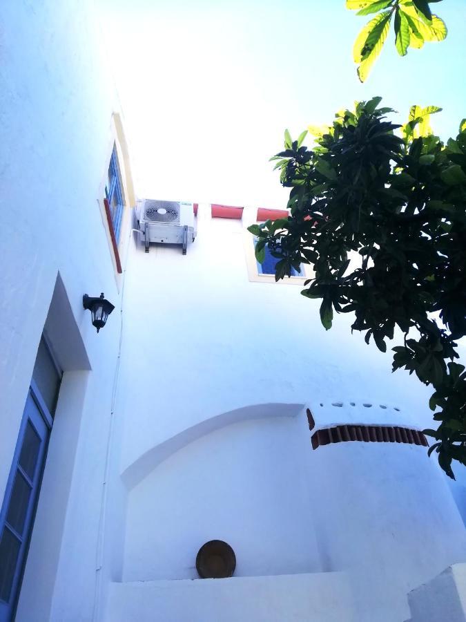 Casa Do Patio- Bed & Breakfast- City Center Portalegre Exteriör bild