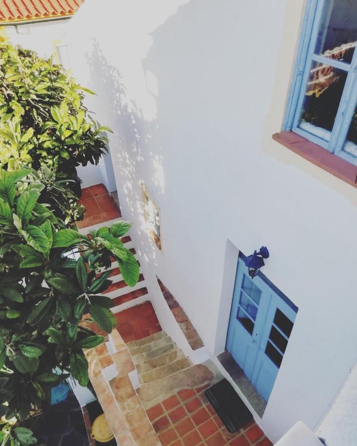 Casa Do Patio- Bed & Breakfast- City Center Portalegre Exteriör bild
